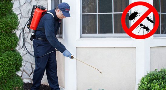 Yeşilhisar Uçan Haşere İlaçlama böcek ilaçlama ve haşere kontrolü — ilaclama-tr.com